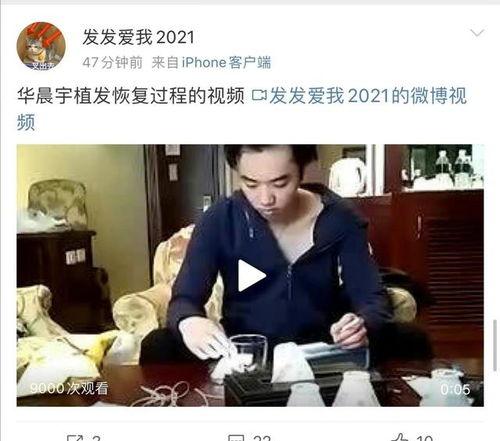 张碧晨律师爆料视频大全,揭秘娱乐圈惊人内幕  第2张