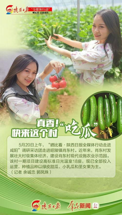 真香吃瓜小说全文阅读免费,揭秘娱乐圈背后的秘密与爱情纠葛 第1张 真香吃瓜小说全文阅读免费,揭秘娱乐圈背后的秘密与爱情纠葛 第1张